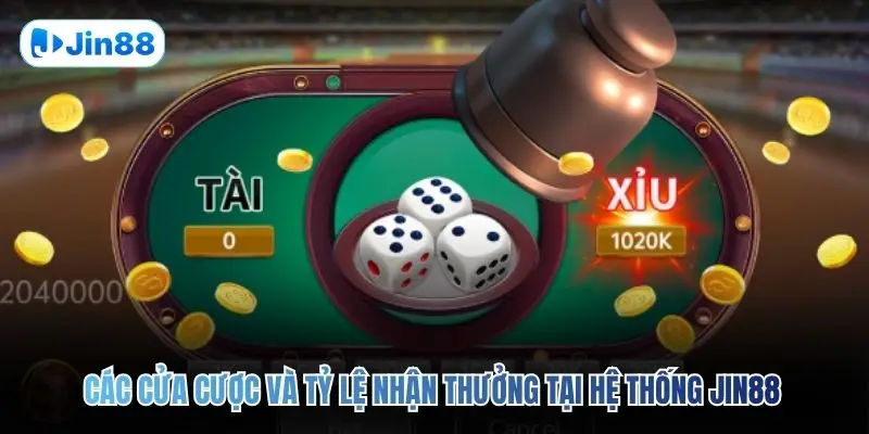 Tài Xỉu JIN88 – Top 5 Bí Quyết Để Về Bờ An Toàn 2026 - hình ảnh - yyudtjonew.top